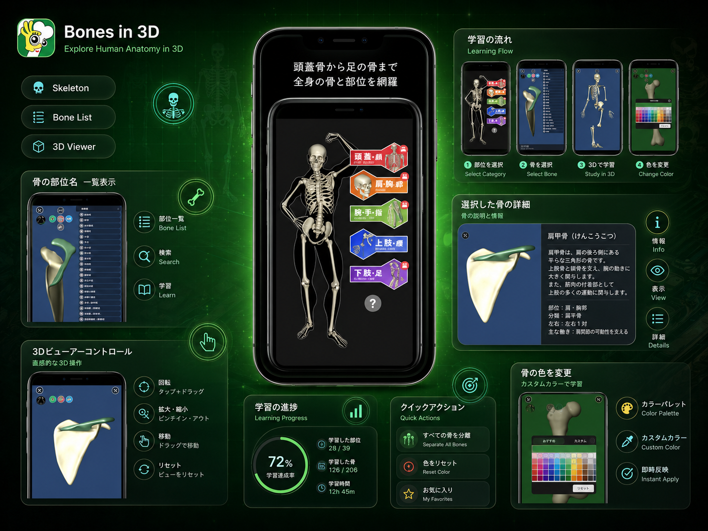 3D Bone Memorization