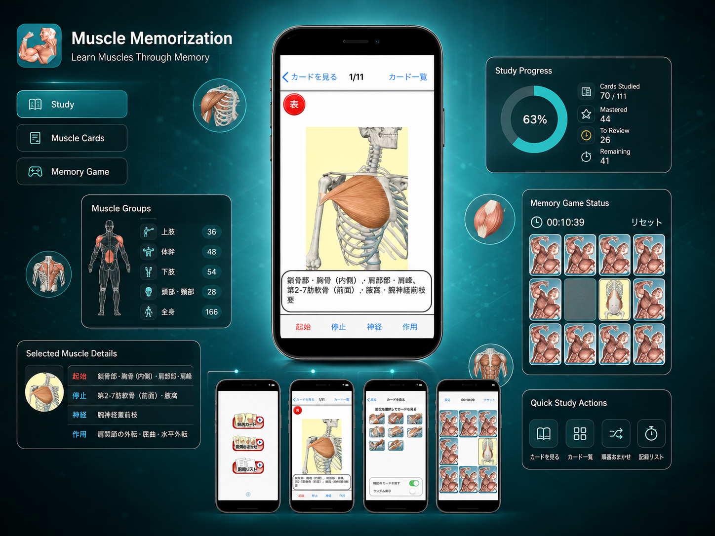 Muscle Memorization